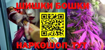 гидра Новозыбков