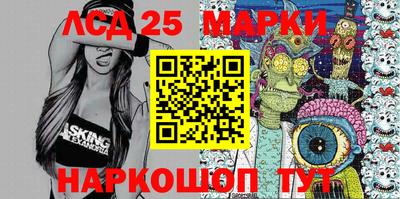 гидра Новозыбков