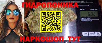 гидра Новозыбков