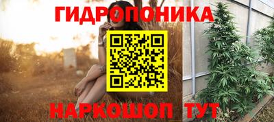 гидра Новозыбков