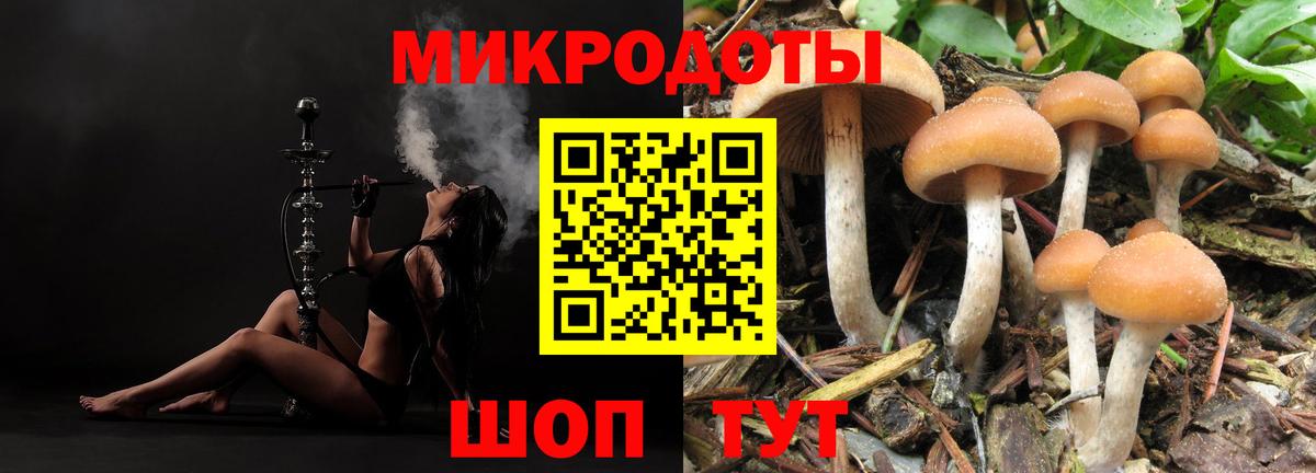 Рославль  Галлюциногенные грибы ЛСД  Вход с VPN 